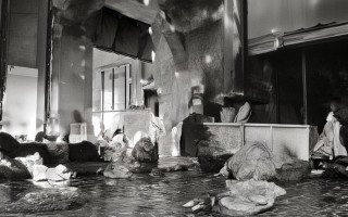 燃气壁挂炉没水怎么办