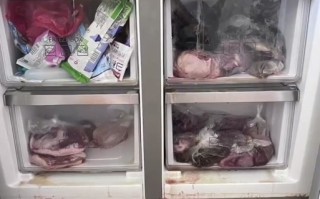 漏电冰箱有多危险？后果严重吗？