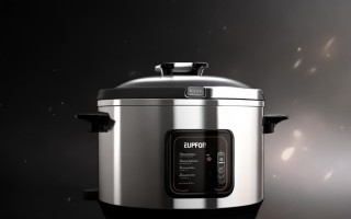 苏泊尔电压力锅e8怎么处理