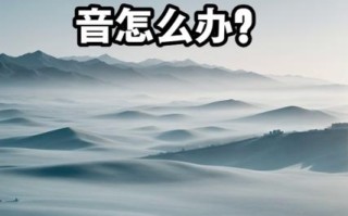 4S店打电话没声？咋回事啊？