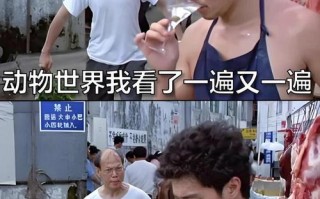 万师傅来的人为啥不会干活？