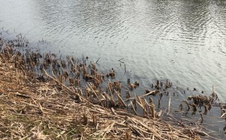 电梯坏了打哪个维修电话？