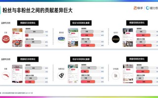 快手粉丝自助服务24小时策略可行吗？