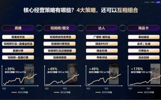 抖音播放量在线策略与点赞稳定平台哪个更有效？