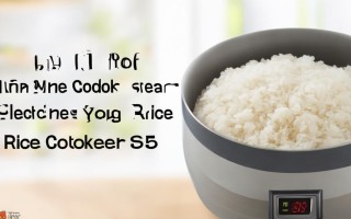 九阳蒸汽电饭s5煲怎么煮米饭