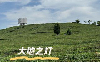 灯具之乡究竟在何方？