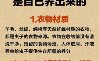 衣柜小虫怎么除？根源在哪？