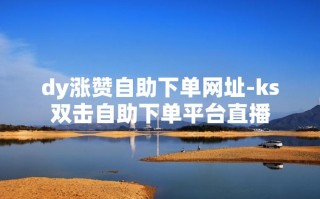 ks直播人气低价下单平台-抖音浏览量在线自助下单网站-抖音协议自助下单