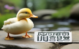 小鸭圣吉奥客服电话是多少？