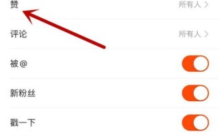 直播人气免费业务网站，快手点赞自助下单秒到账？