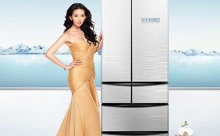 蒂度冰箱全国维修电话是多少？