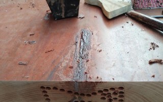 2025年高档红木家具修复，传统工艺如何应对现代损耗？