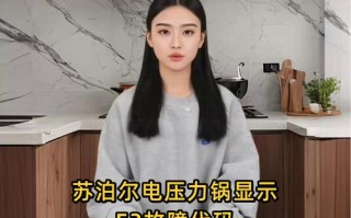 高压锅e2是什么故障码