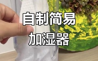 自己动手做加湿器，材料步骤该咋选？