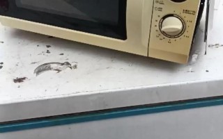海尔微波炉坏了怎么修？