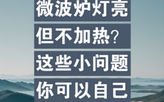 微波炉灯不亮，是坏了还是哪里出问题了？