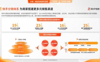 快手粉丝24小时指南，推广与播放量策略如何高效提升？
