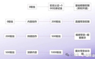 抖音粉丝自助指南，24小时涨粉与点赞策略可行吗？