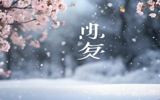 柳州樱雪售后电话是多少？