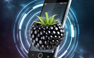 黑莓手机售后电话是多少？