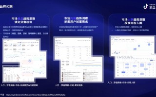 抖音粉丝24小时自助，实时策略怎么落地？