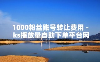 抖音粉丝自助下单秒刷平台超低价靠谱吗？