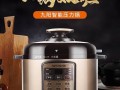 九阳电压力锅b什么意思