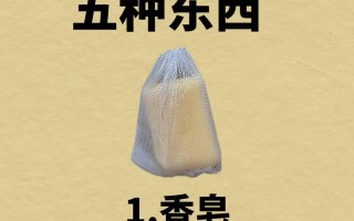 衣柜为何莫名生小虫子？