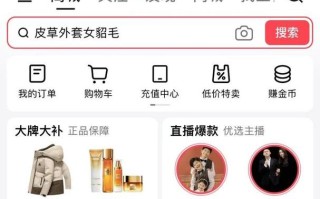 快手低价平台如何平衡稳定服务与业务增长？