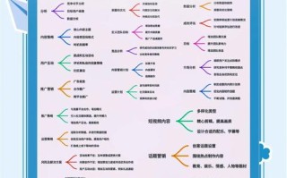 抖音播放量指南策略与平台，如何实现业务实时增长？