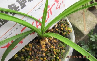 春兰保修电话是多少？