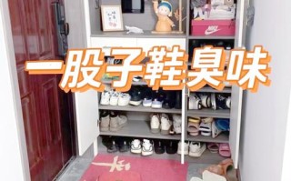 鞋柜异味怎么快速去除？