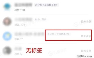 抖音24小时播放量指南，如何实现点赞量实时自助？