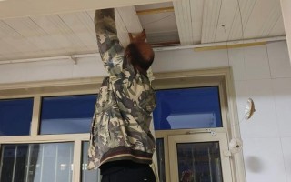 晾衣架钢丝绳松动，自己怎么修？