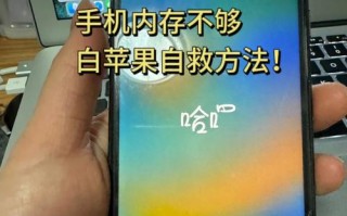 苹果5c突然开不了机怎么回事