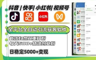 抖音代涨粉自助下单平台，真能快速涨粉吗？