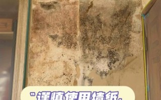 墙霉爆发怎么办？2025最新除霉妙招来了！
