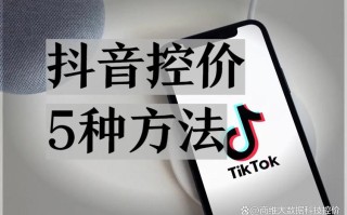 抖音低价服务策略与播放稳定平台如何协同？