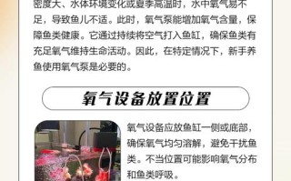 金鱼缸没有氧气泵怎么办