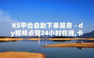 抖音自助下单是真的吗-dy赞在线自助下单网站元-抖音涨赞推广网站自助下单