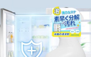 冰箱一般放什么东西除臭