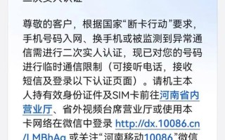 5e新号为何无法拨打语音电话？