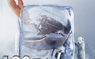 星星牌冷藏箱售后电话是多少？