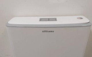 什么牌子的蹲便水箱最好？