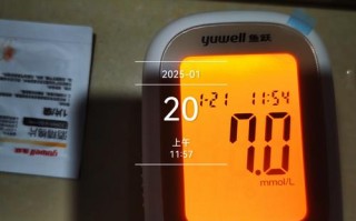 艾科血糖仪开机显示什么