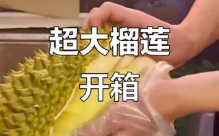 榴莲降至15元一斤