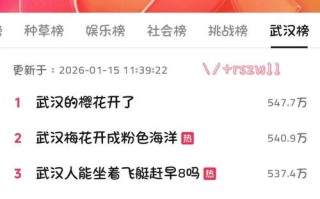 抖音快手24小时涨赞下单网站安全吗？