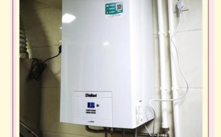 壁挂炉d4是什么