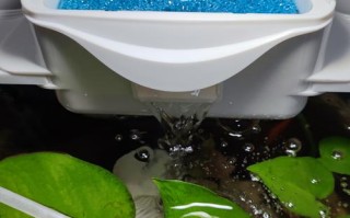 鱼缸过滤器选哪种好？