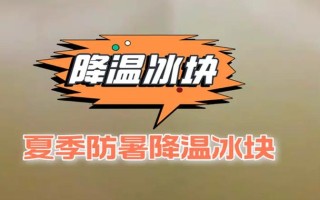 珠海南平送冰电话背后，谁在保障民生冷需求？